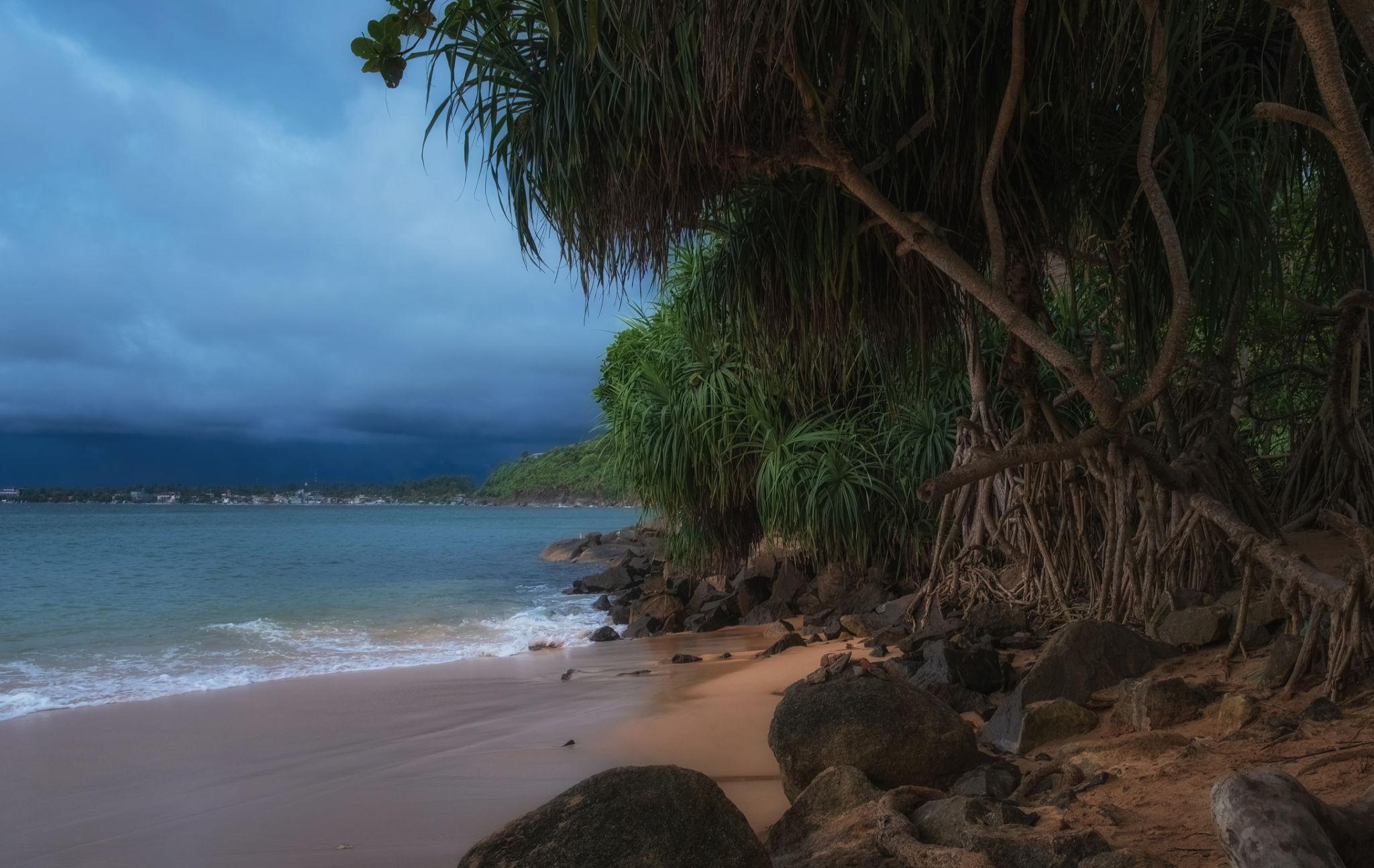 Jungle Beach