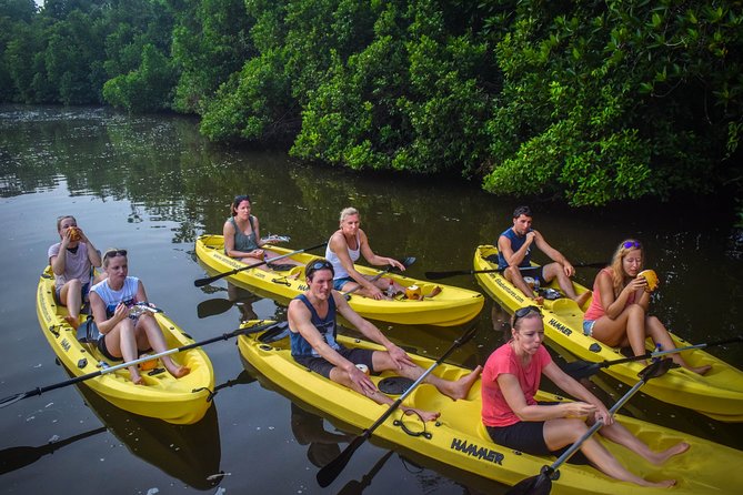 Kayaking in Bentota