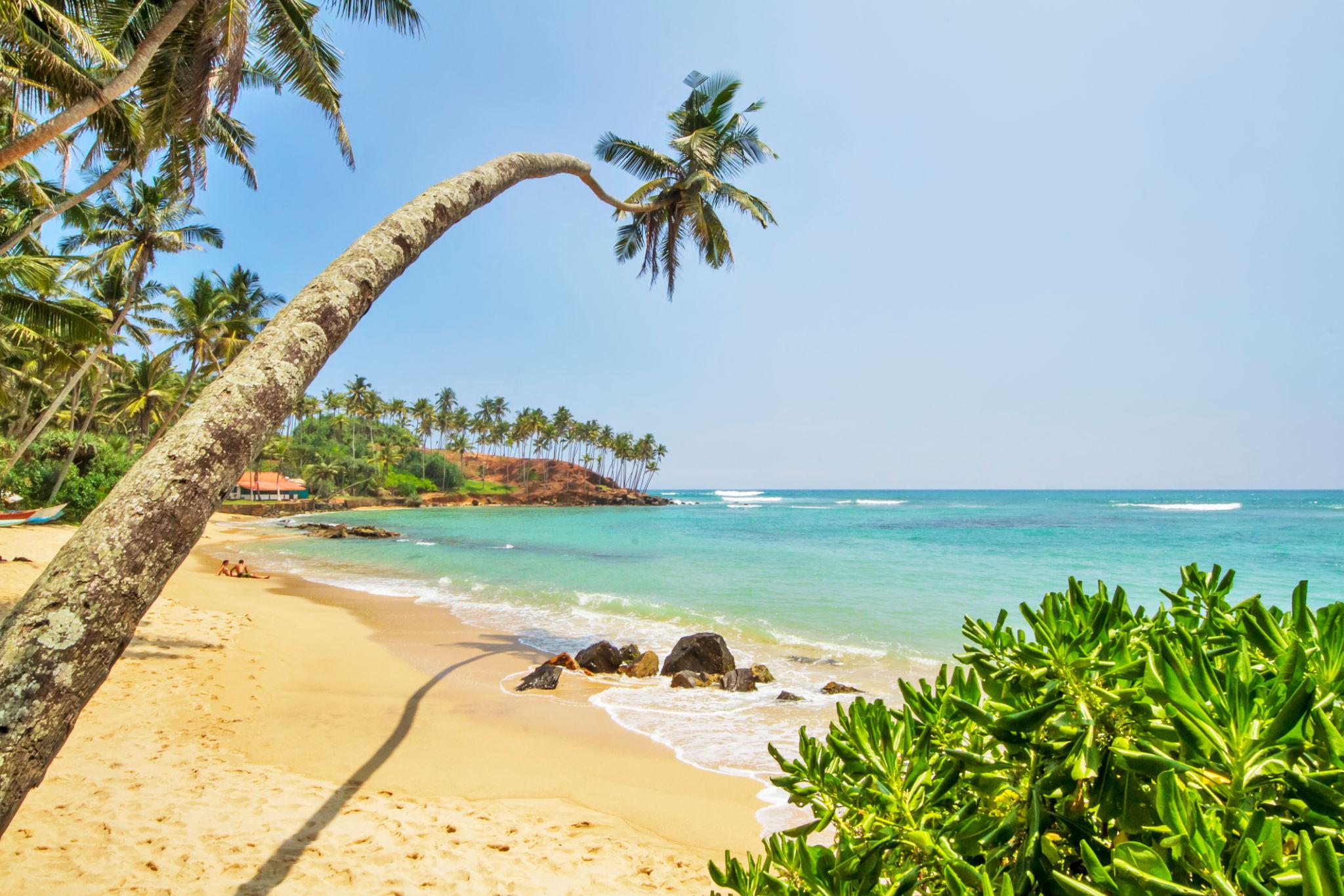 Mirissa Beach
