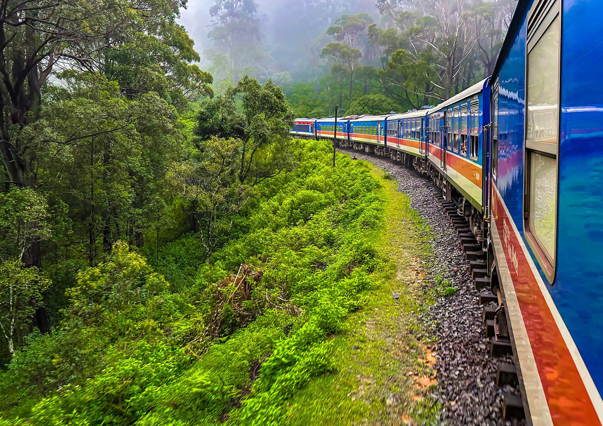 Activities to Do in Sri Lanka