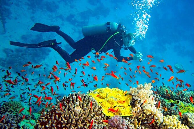 Activities to Do in Sri Lanka 