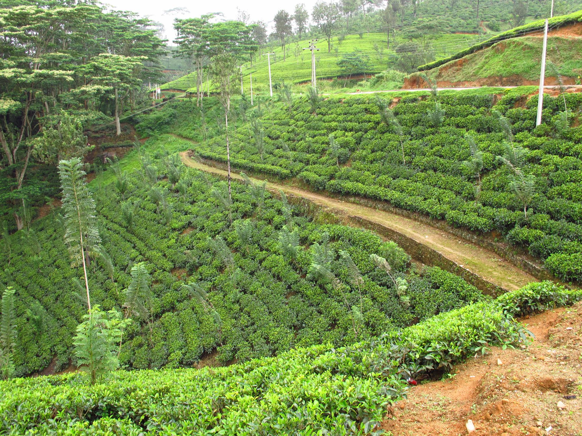 places to visit in sri lanka 