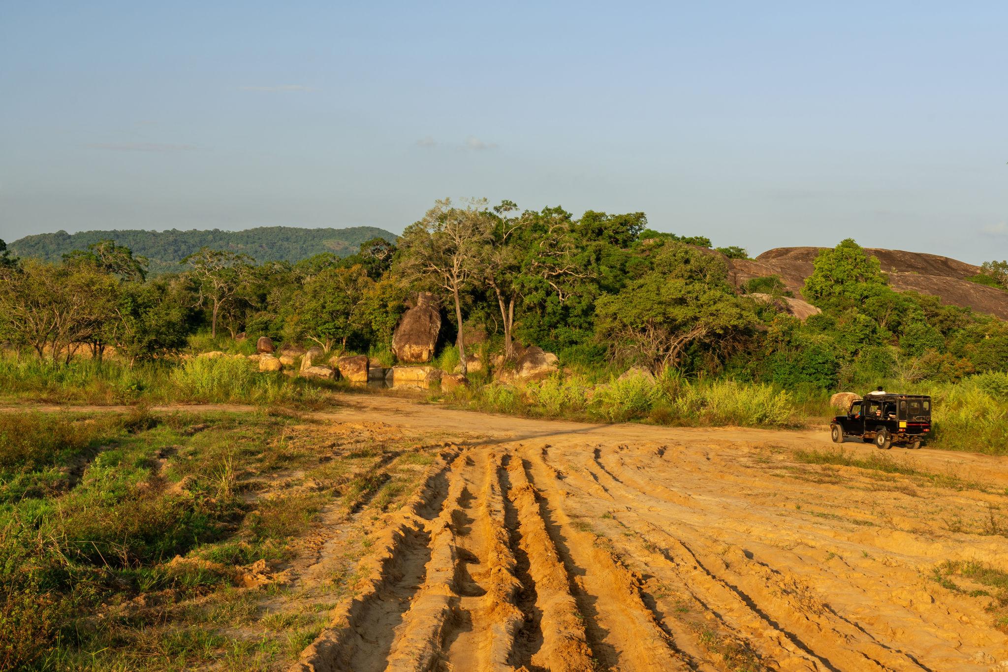 places to visit in sri lanka yala national park