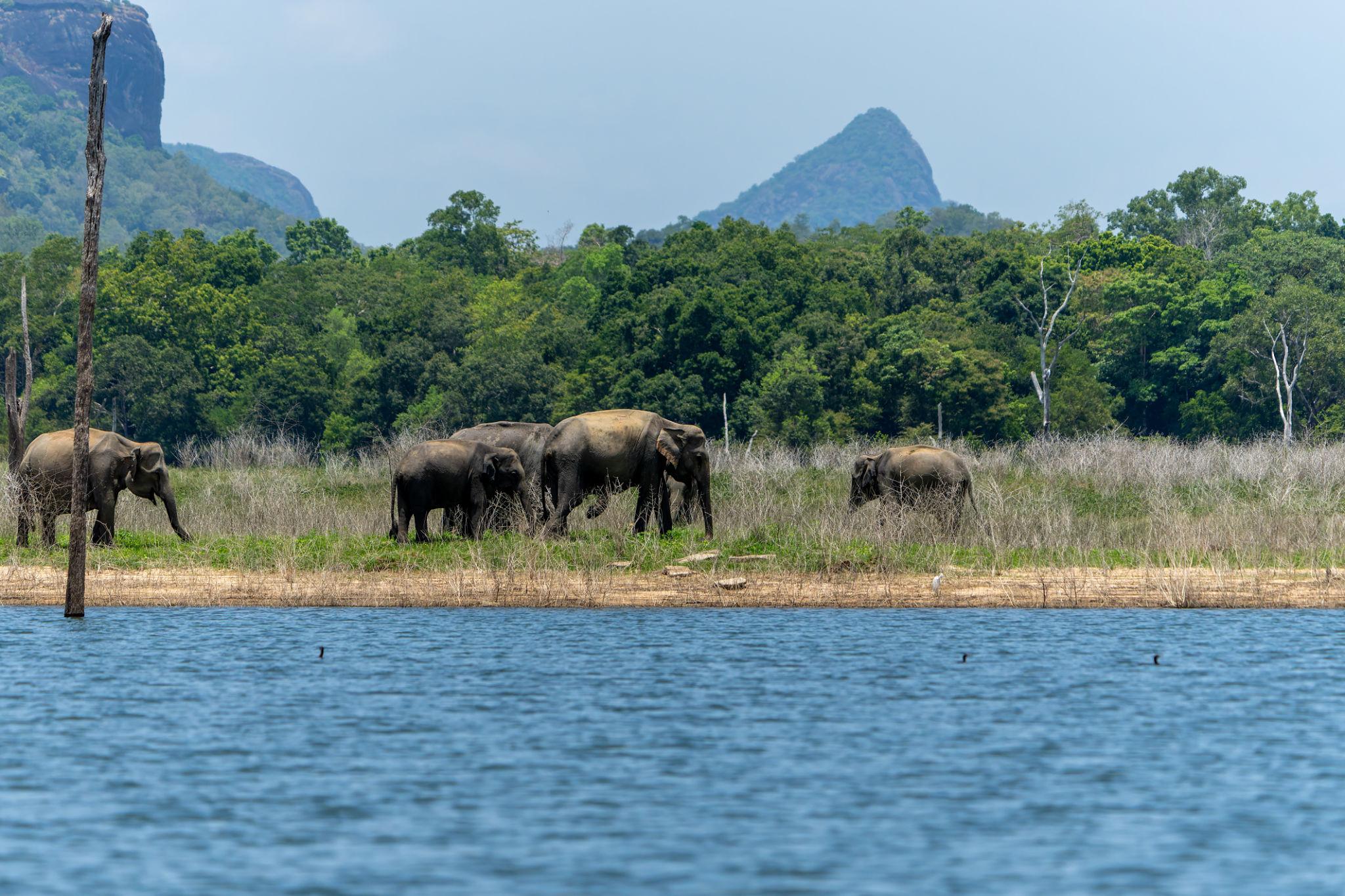 gal oya national park